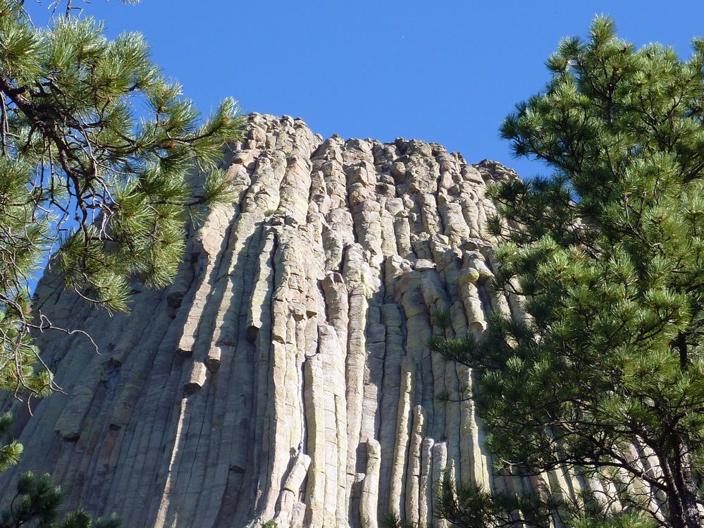 Devil tower (40).JPG